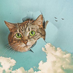 免费看做爱视频
